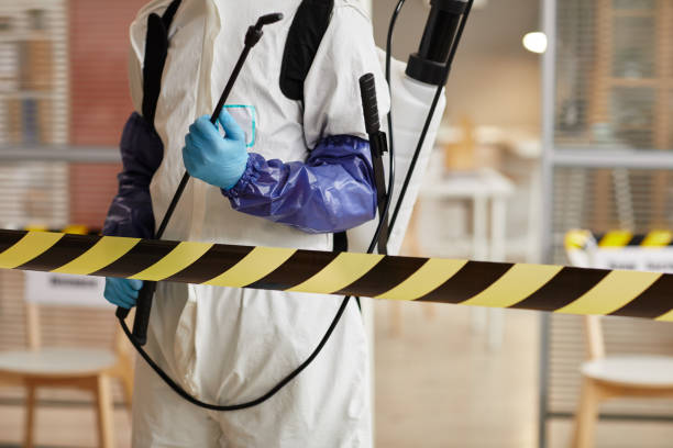 Professional Sewage Cleanup technician working in Kearny, NJ
